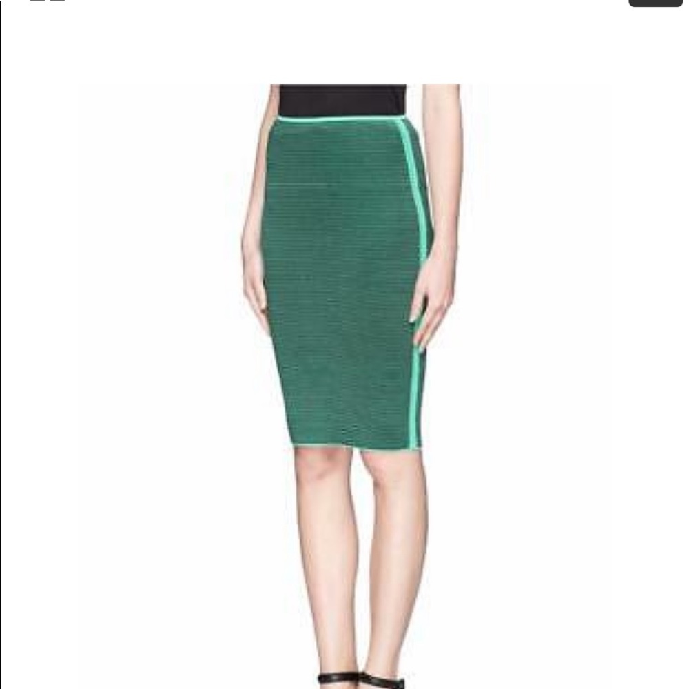 Alexander Wang Skirt